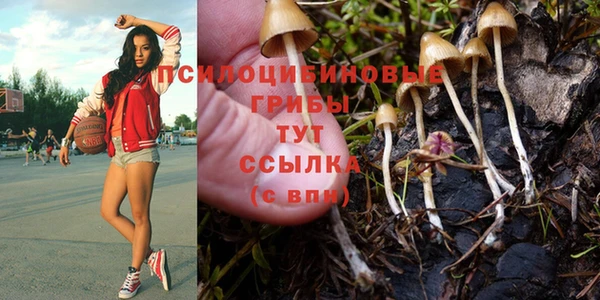MDMA Болохово