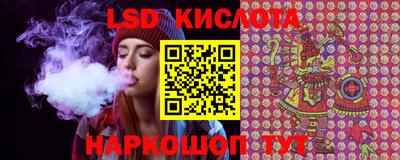 крисы Бийск