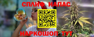 крисы Бийск