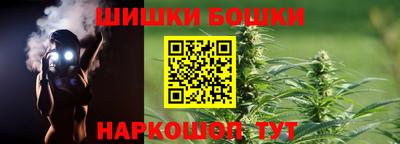 крисы Бийск