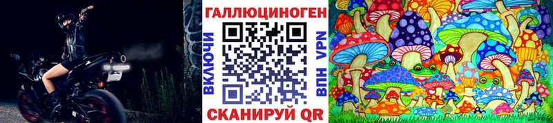ссылка на мегу маркетплейс  Искитим  Псилоцибиновые грибы мицелий  где можно купить  