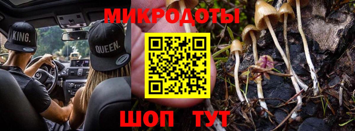 Псилоцибиновые грибы Cubensis  Псилоцибиновые грибы Cubensis  Вход с VPN  Искитим 